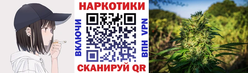 Где купить Лосино-Петровский Марихуана Альфа ПВП ГАШ Мефедрон Кокаин