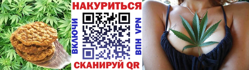 Canna-Cookies марихуана  Лосино-Петровский 