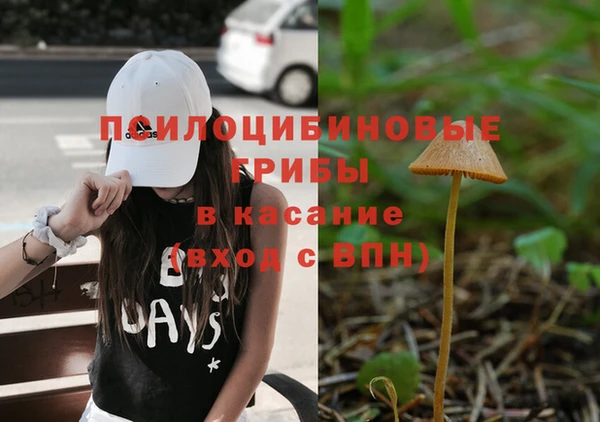мдпв Алексин
